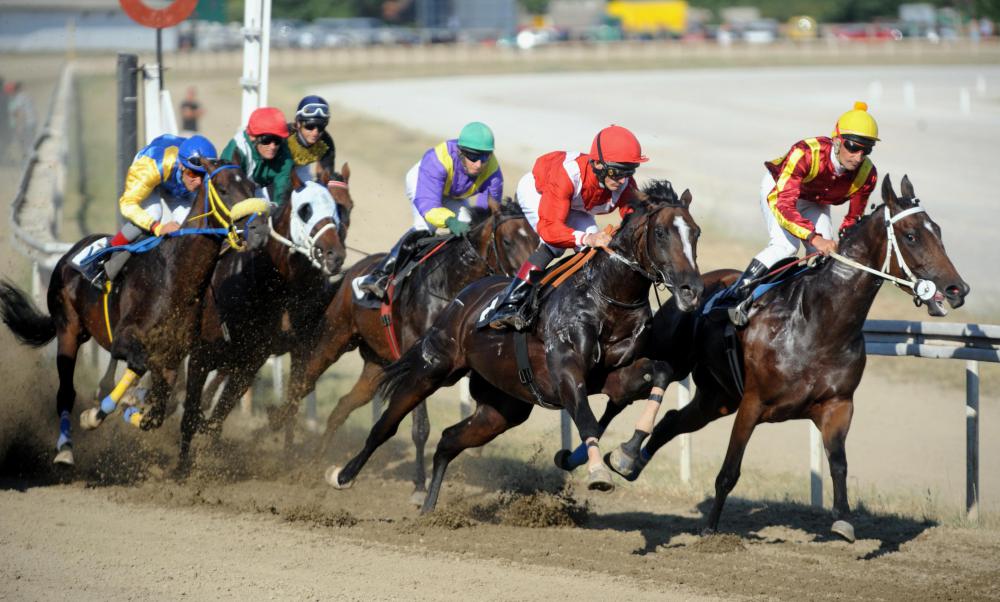 Corrida de cavalos no Brasil